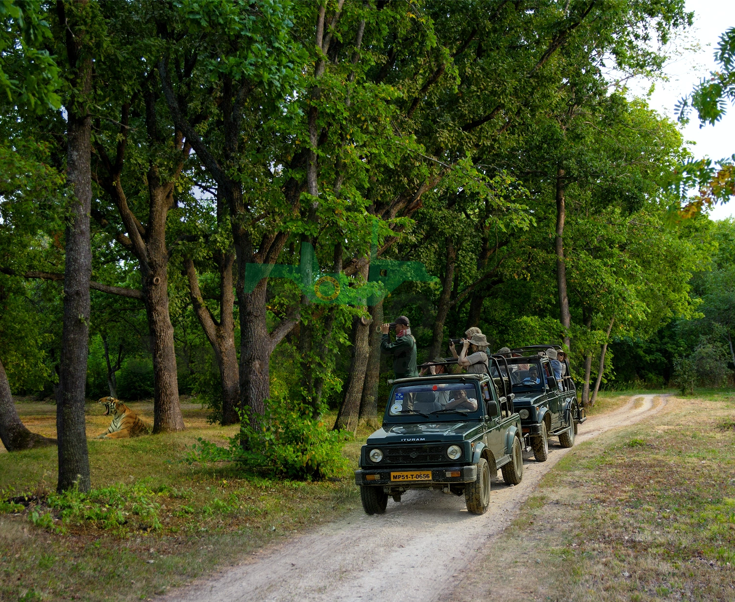 Kanha and Pench National Park Tour with 2 Jeep Safaris